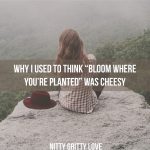 why-i-used-to-think-bloom-where-youre-planted-was-cheesy