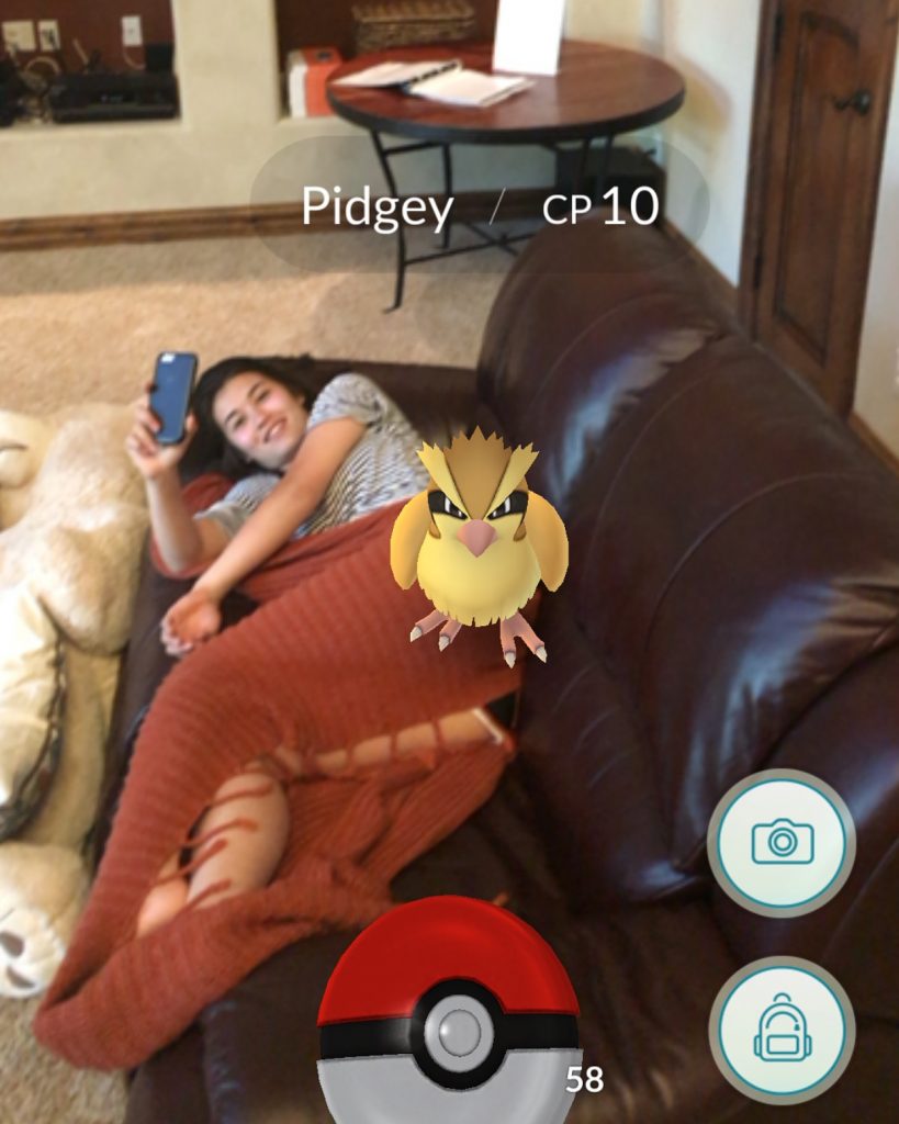 PIdgey